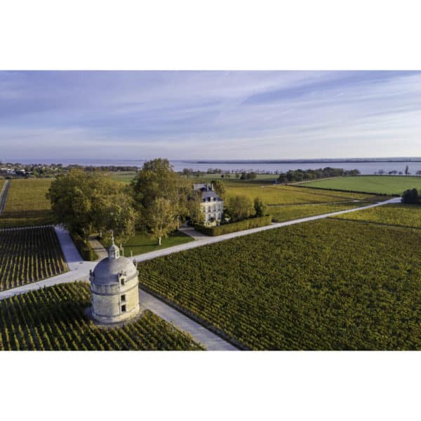 CHATEAU LATOUR 2006, PAUILLAC - Image 2