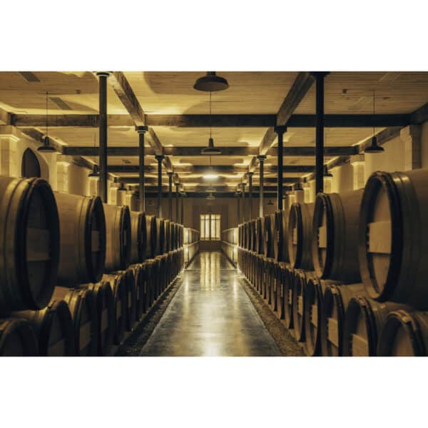 CHATEAU RAUZAN - SEGLA 2019, MARGAUX - Image 3