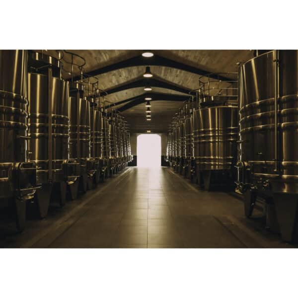 CHATEAU RAUZAN - SEGLA 2019, MARGAUX - Image 4