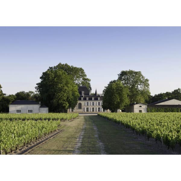 CHATEAU CANTEMERLE 2020 HAUT-MEDOC - Image 2
