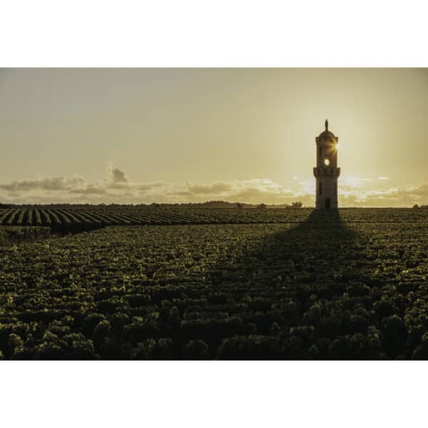 CHATEAU HAUT-BATAILLEY 2019, PAUILLAC - Image 2