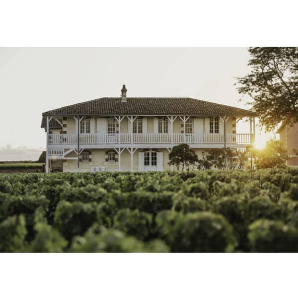 CHATEAU HAUT-BATAILLEY 2019, PAUILLAC - Image 3