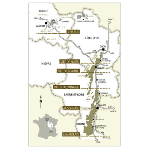 BOURGOGNE PINOT NOIR L. JADOT 2022 - Image 2