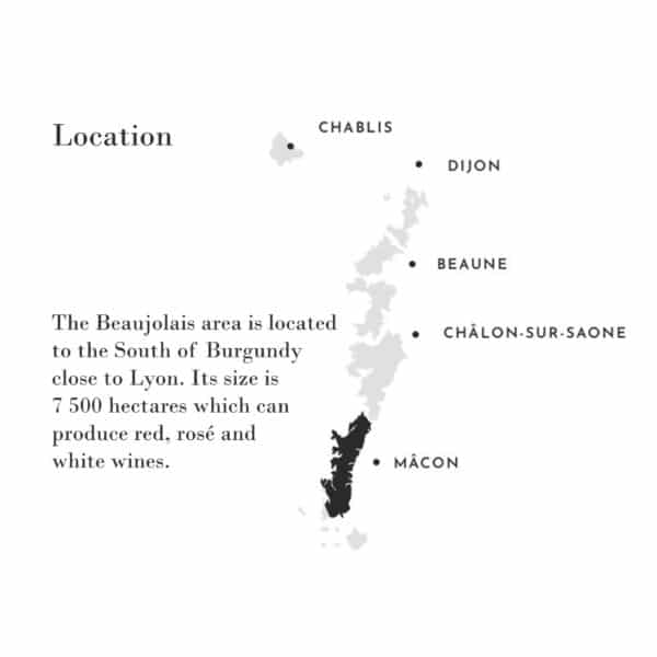 BEAUJOLAIS-VILLAGES,  LOUIS JADOT - Image 2