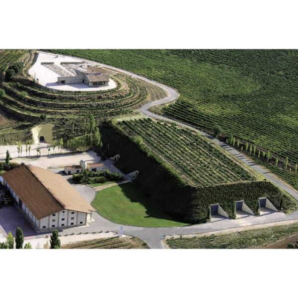 UNA CEPA  VALDUERO - Image 2