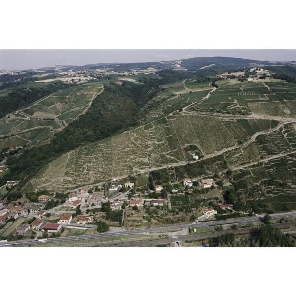 LA LANDONNE  E. GUIGAL 2019 - Image 2