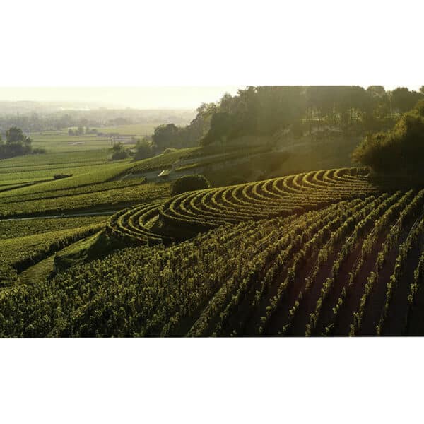 CHATEAU BELAIR-MONANGE 2018, ST-EMILION - Image 3