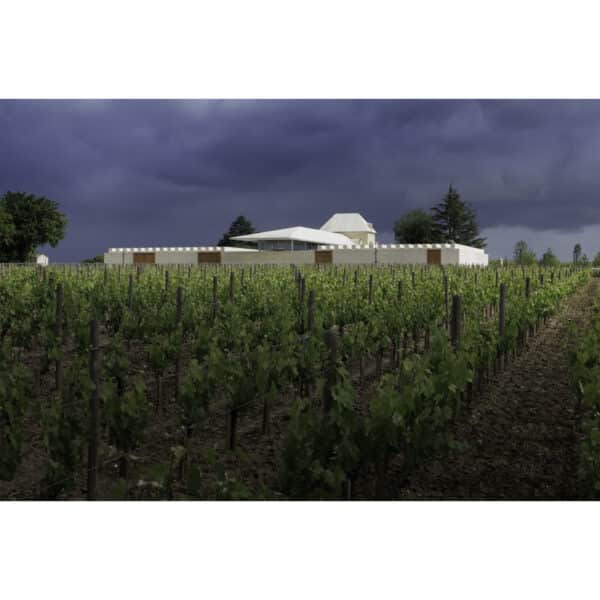 CHATEAU BELAIR-MONANGE 2018, ST-EMILION - Image 2