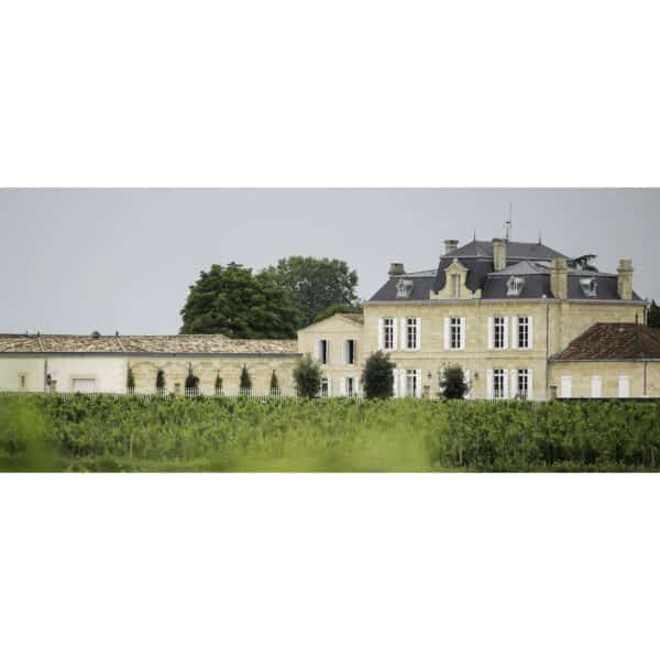 CHATEAU NENIN 2018, POMEROL - Image 2