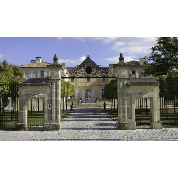 CHATEAU DU TERTRE 2021, MARGAUX - Image 2