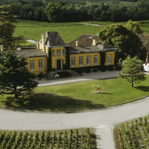 CHATEAU LAFON-ROCHET 2021, ST-ESTEPHE - Image 3