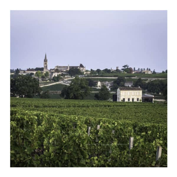 CHATEAU PAVIE MACQUIN 2021, ST-EMILION - Image 2