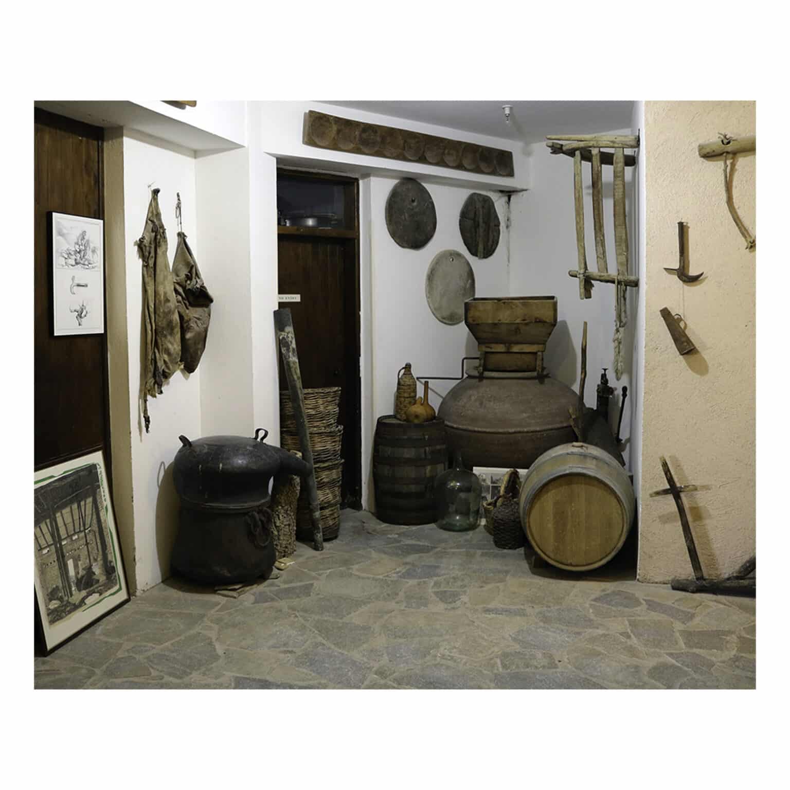 TSIAKKAS - cyrpus wine - la maison du win - oenous