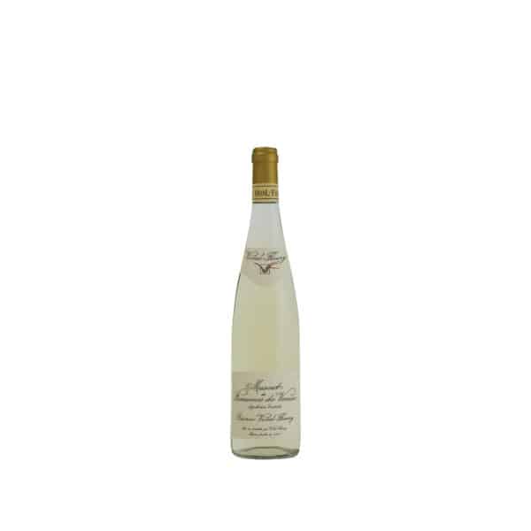 MUSCAT - DESSERT WINE - SWEET WINES - LA MAISON DU VIN