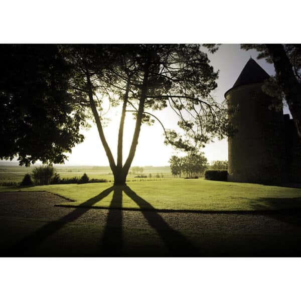 CHATEAU D' YQUEM 2021, SAUTERNES - Image 2