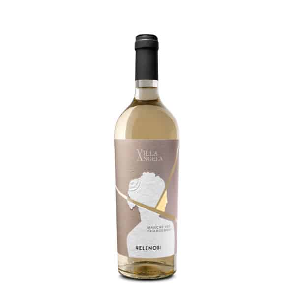 CHARDONNAY VILLA ANGELA IGT VELENOSI