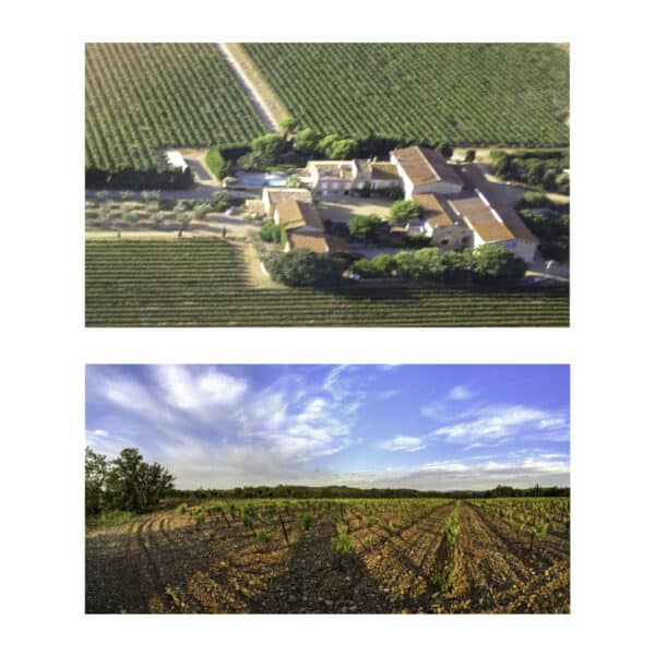 CHARDONNAY VDP OC  DOMAINE DE BACHELLERY - Image 2