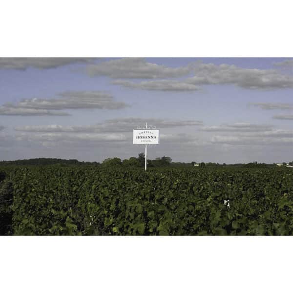 CHATEAU HOSANNA 2020 , POMEROL - Image 2