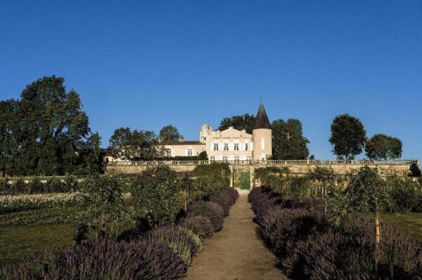 CHATEAU LAFITE-ROTHSCHILD 2017, PAUILLAC - Image 2
