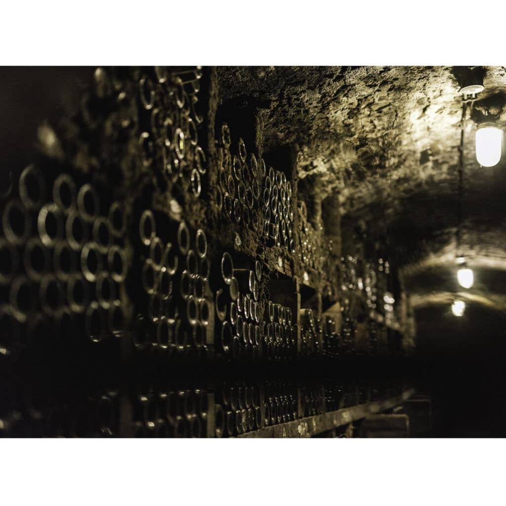 Bründlmayer winery vineyards in Kamptal Austria producing Grüner Veltliner wines