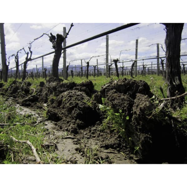 SAUVIGNON BLANC OTIRA, CLOS HENRI - Image 3