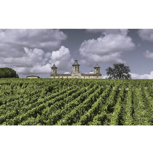 CHATEAU COS D'ESTOURNEL 2020, ST-ESTEPHE - Image 5