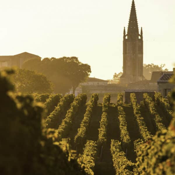 CHATEAU FIGEAC 2021, ST-EMILION - Image 4