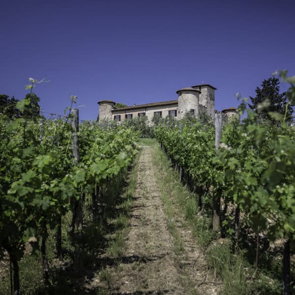 VERMENTINO TOSCANA CASTELLO DI GABBIANO - Image 2