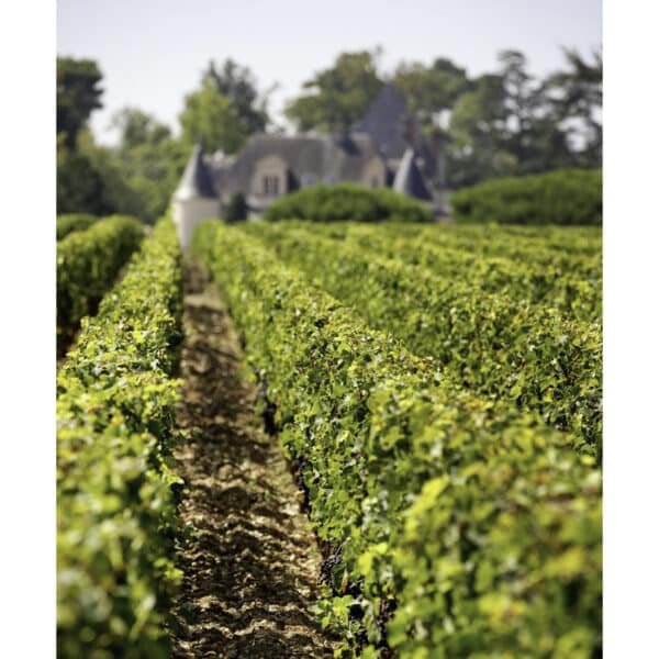 CHATEAU HAUT-BRION 2021, PESSAC-LEOGNAN - Image 2