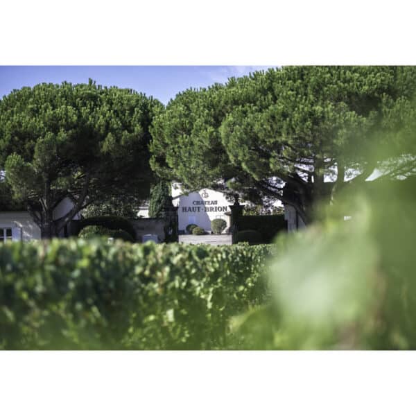 CHATEAU HAUT-BRION 2021, PESSAC-LEOGNAN - Image 3