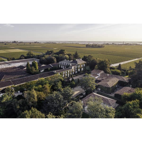 CHATEAU TALBOT 2019, ST-JULIEN - Image 3