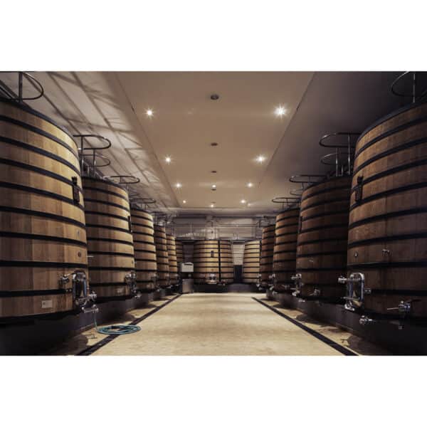 CHATEAU TALBOT 2019, ST-JULIEN - Image 5