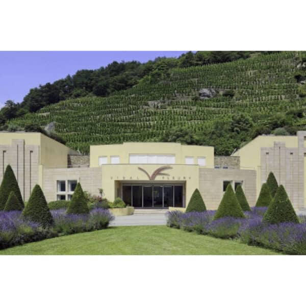 COTE-ROTIE  LA CHATILLONNE 2016  VIDAL FLEURY - Image 2