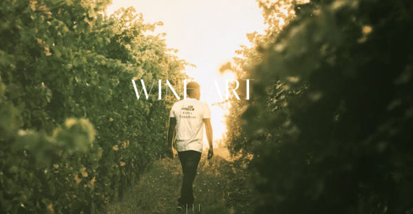Wine Art Estate - Κτήμα Τέχνη Οίνου- Limassol Cyprus