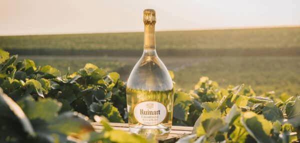 Bottle of Ruinart Blanc de Blancs - la maison du vin