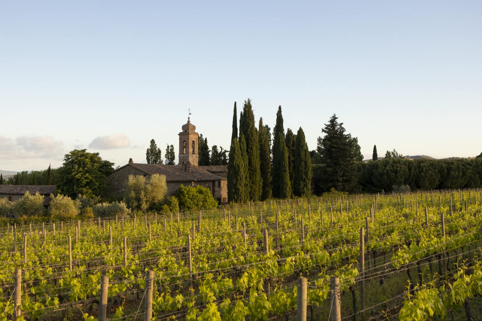 Today, Pieve Santa Restituta stands as a benchmark for modern Brunello, offering purity, complexity, and timeless appeal in every bottle.