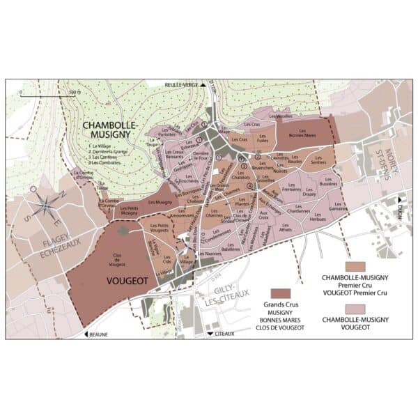 The village of Vougeot is in the centre of the Côte de Nuits, flanked on the north by Chambolle Musigny and on the south by Flagey Echezeaux and Vosne Romanée. The 50 ha vineyard faces the east. The geological composition ranges from chalky stoney clay, on the higher parts of the slope, to moist, compact soil richer in humus and with fewer stones on the lower slopes.