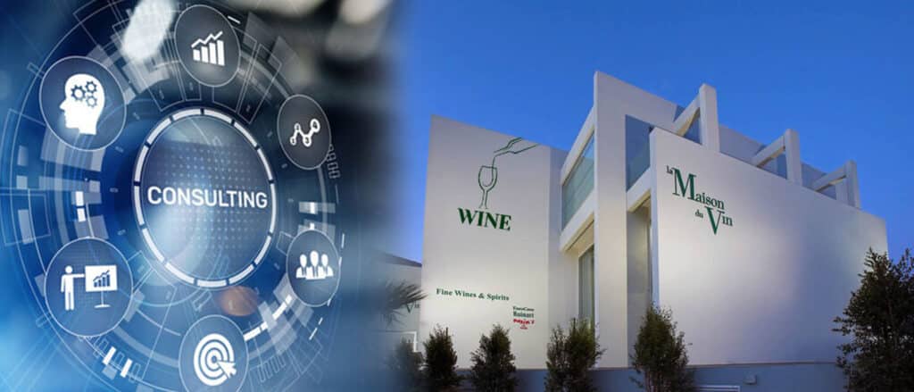 Premium wine selection from La Maison du Vin – Exclusive wine importer and distributor in Cyprus