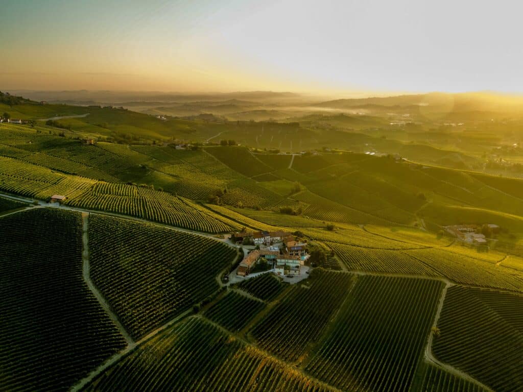 Discover the legendary GAJA wines, now exclusively available in Cyprus through La Maison du Vin for over 25 years. Shop our curated range online or in-store.