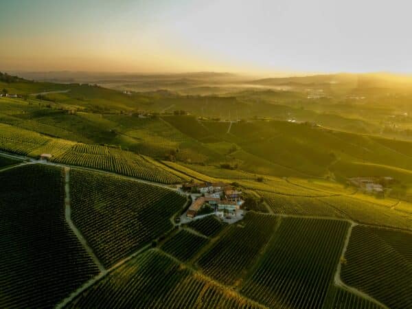 Discover the legendary GAJA wines, now exclusively available in Cyprus through La Maison du Vin for over 25 years. Shop our curated range online or in-store.
