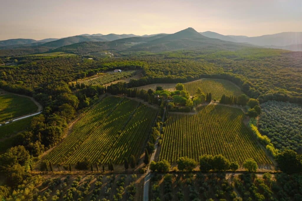 Ca' Marcanda wine bottles from Bolgheri Tuscany by Gaja – available exclusively at La Maison du Vin Cyprus