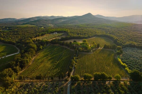 Ca' Marcanda wine bottles from Bolgheri Tuscany by Gaja – available exclusively at La Maison du Vin Cyprus