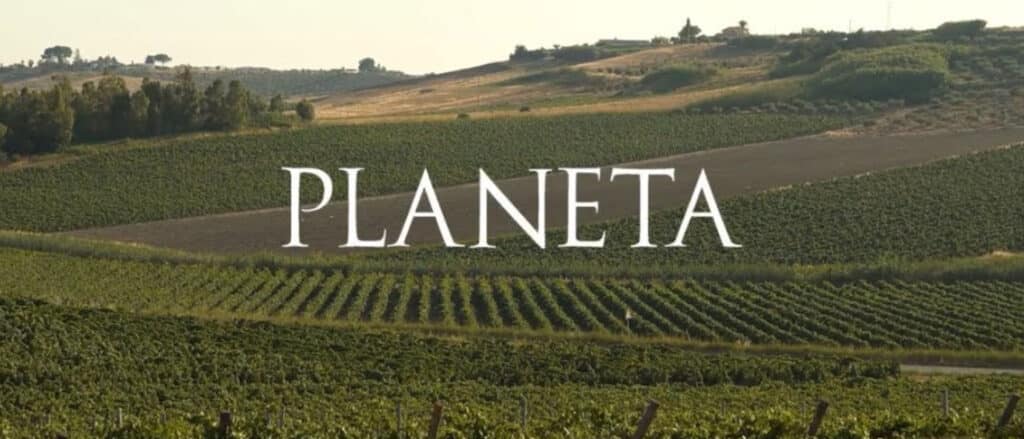 Bottles of Planeta Sicilian extra virgin olive oil from La Maison du Vin, perfect for gourmet cooking and gifts - Planeta Sicily - wines - olive oil - corporate gifts - extra virgine olive oil - la maison du vin