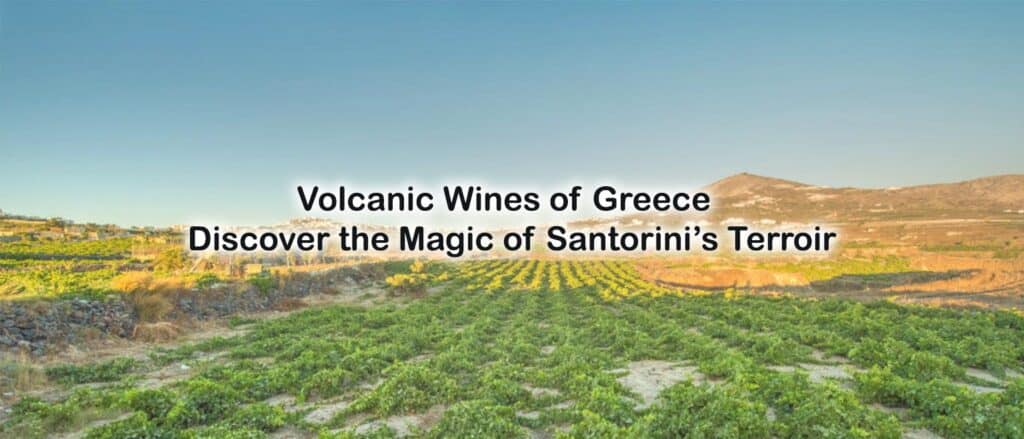 Volcanic Wines of Greece – Discover the Magic of Santorini’s Terroir - la maison du vin