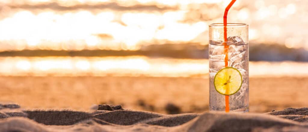 Summer Gin time - buy Gin online - la maison du vin - cocktail - london dry - french gin