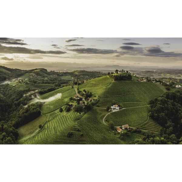 Weingut Schauer vineyards Südsteiermark Austria steep slopes wine region Cyprus