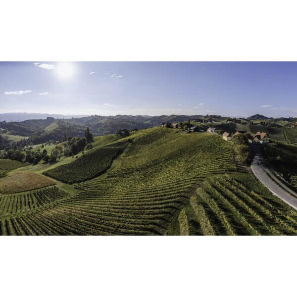 Weingut Schauer vineyards Südsteiermark Austria steep slopes wine region Cyprus