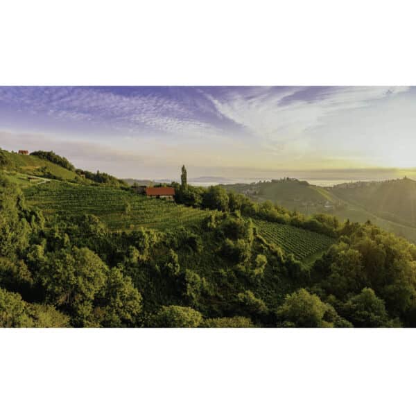 Weingut Schauer vineyards Südsteiermark Austria steep slopes wine region Cyprus