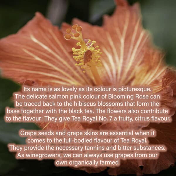 Its name is as lovely as its colour is picturesque. The delicate salmon pink colour of Blooming Rose can be traced back to the hibiscus blossoms that form the base together with the black tea. The flowers also contribute to the flavour: They give Tea Royal No. 7 a fruity, citrus flavour. Grape seeds and grape skins are essential when it comes to the full-bodied flavour of Tea Royal. They provide the necessary tannins and bitter substances. As winegrowers, we can always use grapes from our own organically farmed