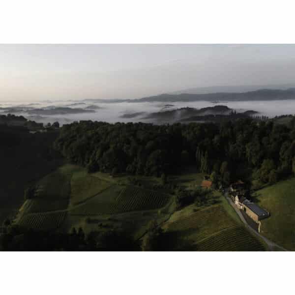Weingut Firmenich vineyard in South Styria with rolling hills and coral reef soils